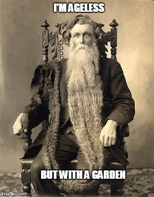 I'M AGELESS BUT WITH A GARDEN | made w/ Imgflip meme maker