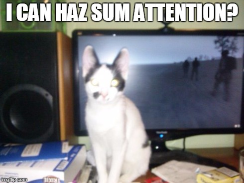 I CAN HAZ SUM ATTENTION? | made w/ Imgflip meme maker