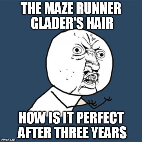 Y U No Meme | THE MAZE RUNNER GLADER'S HAIR HOW IS IT PERFECT AFTER THREE YEARS | image tagged in memes,y u no | made w/ Imgflip meme maker
