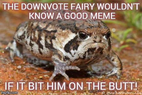 Wait, Do Toads Bite? | THE DOWNVOTE FAIRY WOULDN'T KNOW A GOOD MEME IF IT BIT HIM ON THE BUTT! | image tagged in memes,grumpy toad | made w/ Imgflip meme maker