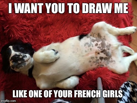 I WANT YOU TO DRAW ME LIKE ONE OF YOUR FRENCH GIRLS | image tagged in draw me like one of your french girls,puppy,springer,cowbelly,poser,titanic | made w/ Imgflip meme maker