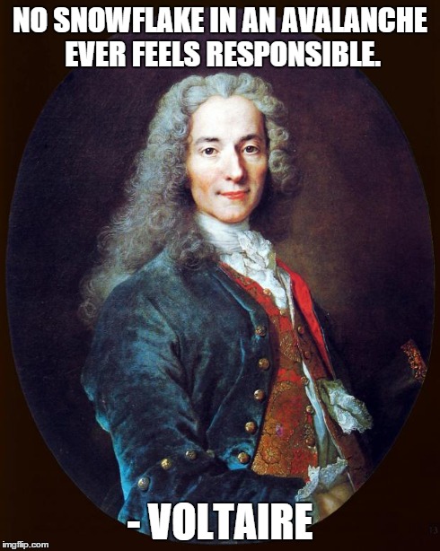 voltaire | NO SNOWFLAKE IN AN AVALANCHE EVER FEELS RESPONSIBLE. - VOLTAIRE | image tagged in voltaire,philosophy | made w/ Imgflip meme maker