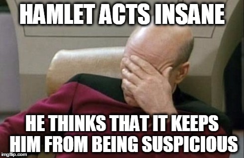 Captain Picard Facepalm | HAMLET ACTS INSANE HE THINKS THAT IT KEEPS HIM FROM BEING SUSPICIOUS | image tagged in memes,captain picard facepalm | made w/ Imgflip meme maker