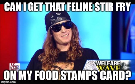 Welfare surfer | CAN I GET THAT FELINE STIR FRY ON MY FOOD STAMPS CARD? | image tagged in welfare surfer | made w/ Imgflip meme maker