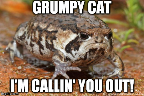 Grumpy Toad Meme | GRUMPY CAT I'M CALLIN' YOU OUT! | image tagged in memes,grumpy toad | made w/ Imgflip meme maker