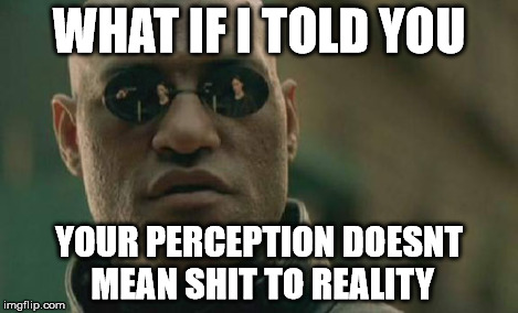 Matrix Morpheus Meme | WHAT IF I TOLD YOU YOUR PERCEPTION DOESNT MEAN SHIT TO REALITY | image tagged in memes,matrix morpheus | made w/ Imgflip meme maker