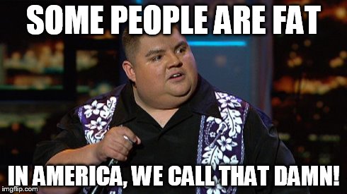 damn! | SOME PEOPLE ARE FAT IN AMERICA, WE CALL THAT DAMN! | image tagged in america | made w/ Imgflip meme maker