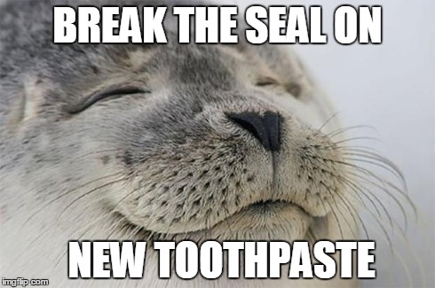 Satisfied Seal | BREAK THE SEAL ON NEW TOOTHPASTE | image tagged in memes,satisfied seal,AdviceAnimals | made w/ Imgflip meme maker