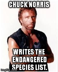 Chuck Norris Flex | CHUCK NORRIS WRITES THE ENDANGERED SPECIES LIST. | image tagged in chuck norris | made w/ Imgflip meme maker