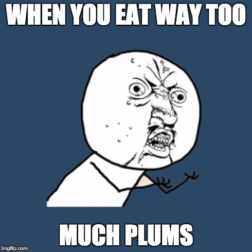 Y U No Meme | WHEN YOU EAT WAY TOO MUCH PLUMS | image tagged in memes,y u no | made w/ Imgflip meme maker