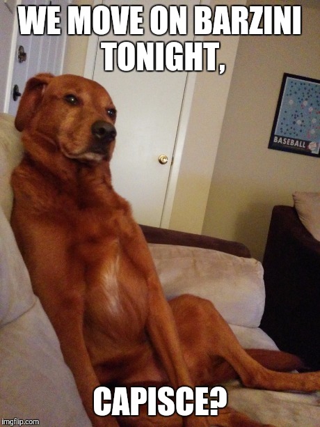 Down to Business Dog | WE MOVE ON BARZINI TONIGHT, CAPISCE? | image tagged in down to business dog | made w/ Imgflip meme maker