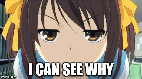 Haruhi stare | I CAN SEE WHY | image tagged in haruhi stare | made w/ Imgflip meme maker