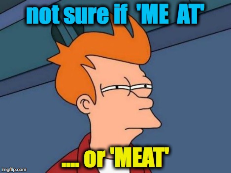 Futurama Fry Meme | not sure if  'ME  AT' .... or 'MEAT' | image tagged in memes,futurama fry | made w/ Imgflip meme maker