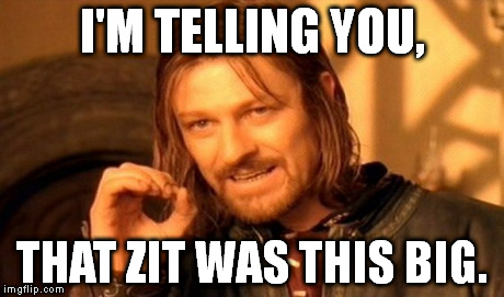 - | I'M TELLING YOU, THAT ZIT WAS THIS BIG. | image tagged in memes,one does not simply,zit | made w/ Imgflip meme maker