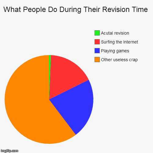 True Story! | image tagged in funny,pie charts | made w/ Imgflip chart maker