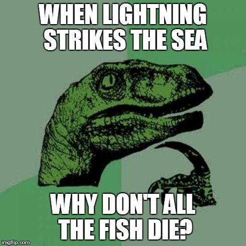 See If You Can Get The Reference | WHEN LIGHTNING STRIKES THE SEA WHY DON'T ALL THE FISH DIE? | image tagged in memes,philosoraptor | made w/ Imgflip meme maker