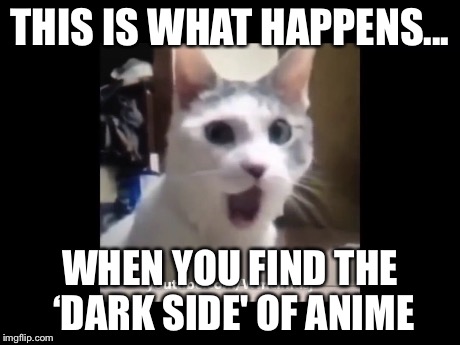 THIS IS WHAT HAPPENS... WHEN YOU FIND THE ‘DARK SIDE' OF ANIME | image tagged in omg,anime | made w/ Imgflip meme maker