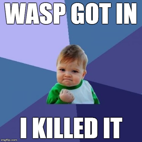 Success Kid | WASP GOT IN I KILLED IT | image tagged in memes,success kid | made w/ Imgflip meme maker