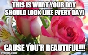 THIS IS WHAT YOUR DAY SHOULD LOOK LIKE EVERY DAY! CAUSE YOU'R BEAUTIFUL!!! | image tagged in beautiful,rose | made w/ Imgflip meme maker
