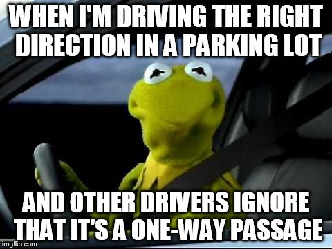 Just saw 2 other drivers doing this, and I had to get out of the way for them | WHEN I'M DRIVING THE RIGHT DIRECTION IN A PARKING LOT AND OTHER DRIVERS IGNORE THAT IT'S A ONE-WAY PASSAGE | image tagged in kermit car | made w/ Imgflip meme maker
