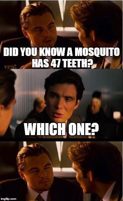 I Got This Fact From a Gum Wrapper | DID YOU KNOW A MOSQUITO HAS 47 TEETH? WHICH ONE? | image tagged in memes,inception,fun fact | made w/ Imgflip meme maker