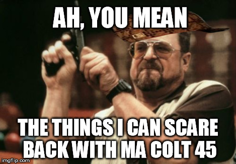 Am I The Only One Around Here Meme | AH, YOU MEAN THE THINGS I CAN SCARE BACK WITH MA COLT 45 | image tagged in memes,am i the only one around here,scumbag | made w/ Imgflip meme maker