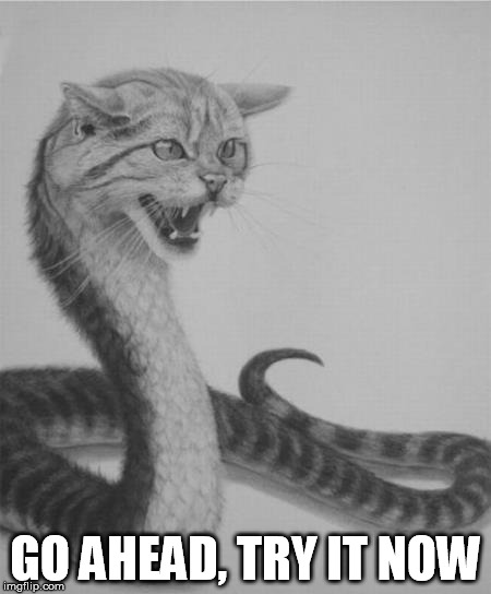 GO AHEAD, TRY IT NOW | made w/ Imgflip meme maker