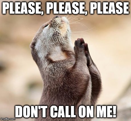 animal praying | PLEASE, PLEASE, PLEASE DON'T CALL ON ME! | image tagged in animal praying | made w/ Imgflip meme maker