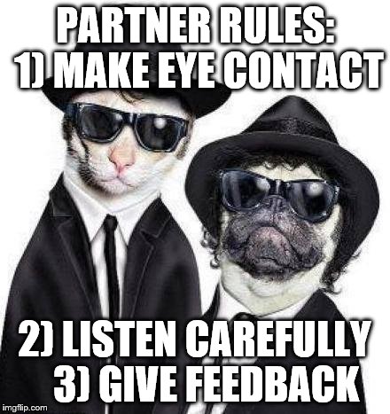 Blues Brothers Animals | PARTNER RULES: 1) MAKE EYE CONTACT 2) LISTEN CAREFULLY    3) GIVE FEEDBACK | image tagged in blues brothers animals | made w/ Imgflip meme maker