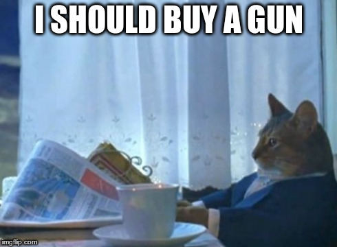 I Should Buy A Boat Cat | I SHOULD BUY A GUN | image tagged in memes,i should buy a boat cat | made w/ Imgflip meme maker