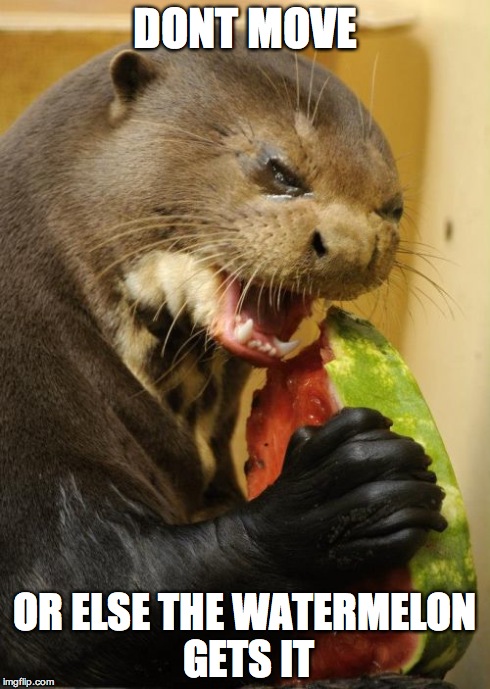 Self Loathing Otter | DONT MOVE OR ELSE THE WATERMELON GETS IT | image tagged in memes,self loathing otter | made w/ Imgflip meme maker