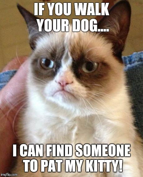 Grumpy Cat | IF YOU WALK YOUR DOG.... I CAN FIND SOMEONE TO PAT MY KITTY! | image tagged in memes,grumpy cat | made w/ Imgflip meme maker