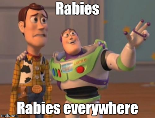 X, X Everywhere Meme | Rabies Rabies everywhere | image tagged in memes,x x everywhere | made w/ Imgflip meme maker