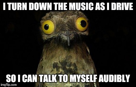 weird stuff i do pootoo | I TURN DOWN THE MUSIC AS I DRIVE SO I CAN TALK TO MYSELF AUDIBLY | image tagged in weird stuff i do pootoo | made w/ Imgflip meme maker