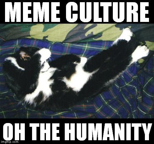 oh the humanity | MEME CULTURE OH THE HUMANITY | image tagged in oh the humanity | made w/ Imgflip meme maker