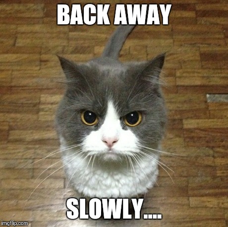 Bad day | BACK AWAY SLOWLY.... | image tagged in bad day | made w/ Imgflip meme maker