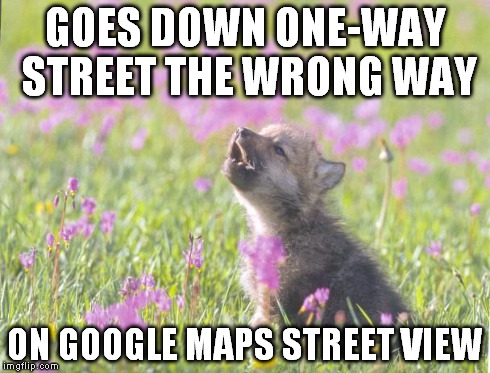 Baby Insanity Wolf | GOES DOWN ONE-WAY STREET THE WRONG WAY ON GOOGLE MAPS STREET VIEW | image tagged in memes,baby insanity wolf,AdviceAnimals | made w/ Imgflip meme maker