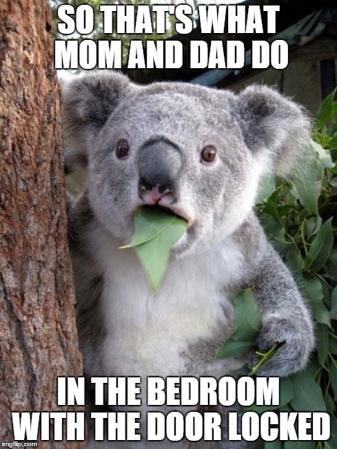 Surprised Koala | SO THAT'S WHAT MOM AND DAD DO IN THE BEDROOM WITH THE DOOR LOCKED | image tagged in memes,surprised coala | made w/ Imgflip meme maker