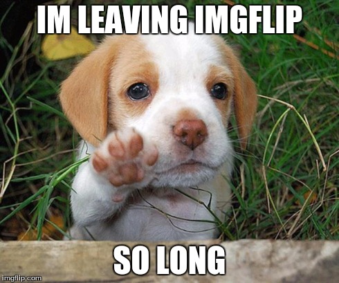 dog puppy bye | IM LEAVING IMGFLIP SO LONG | image tagged in dog puppy bye | made w/ Imgflip meme maker
