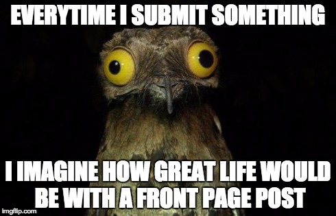 Crazy eyed bird | EVERYTIME I SUBMIT SOMETHING I IMAGINE HOW GREAT LIFE WOULD BE WITH A FRONT PAGE POST | image tagged in crazy eyed bird,AdviceAnimals | made w/ Imgflip meme maker