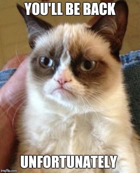 Grumpy Cat Meme | YOU'LL BE BACK UNFORTUNATELY | image tagged in memes,grumpy cat | made w/ Imgflip meme maker