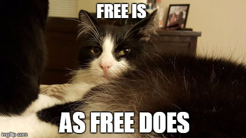 Walter Le Smash | FREE IS AS FREE DOES | image tagged in walter le smash,cats | made w/ Imgflip meme maker