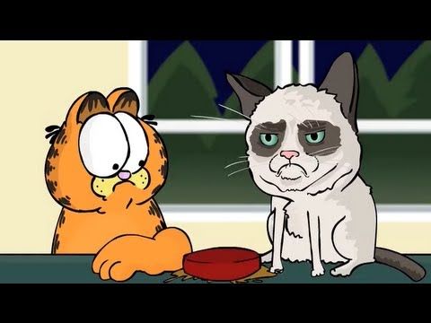 High Quality Grumpy Cat & Garfield Blank Meme Template