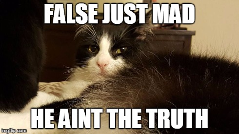 Walter Le Smash | FALSE JUST MAD HE AINT THE TRUTH | image tagged in walter le smash,cats | made w/ Imgflip meme maker