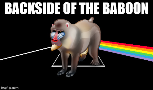 PINK BEHIND | BACKSIDE OF THE BABOON | image tagged in pink floyd,baboon | made w/ Imgflip meme maker