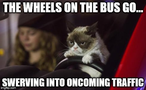 Grumpy Cat Driving | THE WHEELS ON THE BUS GO... SWERVING INTO ONCOMING TRAFFIC | image tagged in grumpy cat driving | made w/ Imgflip meme maker