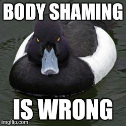 Angry Advice Mallard | BODY SHAMING IS WRONG | image tagged in angry advice mallard | made w/ Imgflip meme maker