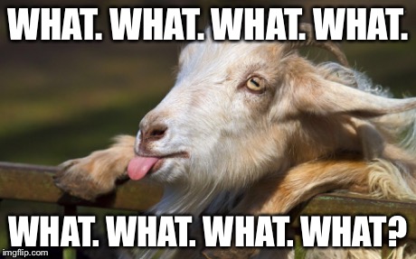 WHAT. WHAT. WHAT. WHAT. WHAT. WHAT. WHAT. WHAT? | image tagged in funny goat | made w/ Imgflip meme maker
