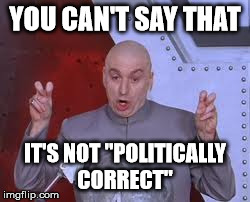 Dr Evil Laser Meme | YOU CAN'T SAY THAT IT'S NOT "POLITICALLY CORRECT" | image tagged in memes,dr evil laser | made w/ Imgflip meme maker
