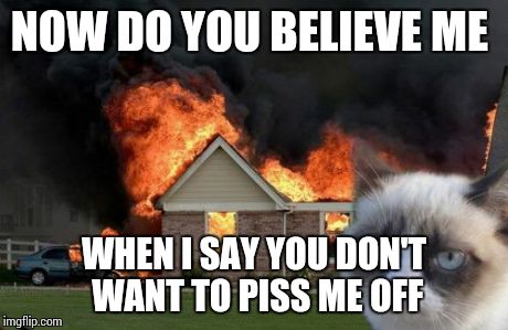 Burn Kitty Meme | NOW DO YOU BELIEVE ME WHEN I SAY YOU DON'T WANT TO PISS ME OFF | image tagged in memes,burn kitty | made w/ Imgflip meme maker